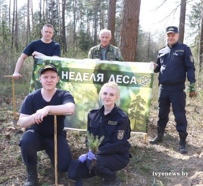 К акции “Неделя леса - 2023” присоединились работники районного отдела Следственного комитета