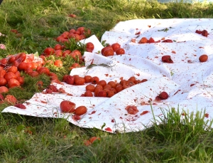 Какой праздник без легендарной битвы помидорами &quot;Ивье де-томатейро&quot; и помидорного ринга! Посмотрите, как это было
