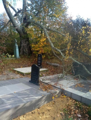 На кладбище д. Грабово Бакштовского сельсовета  аварийное дерево  могло разрушить памятники. Как разрешилась данная проблема?