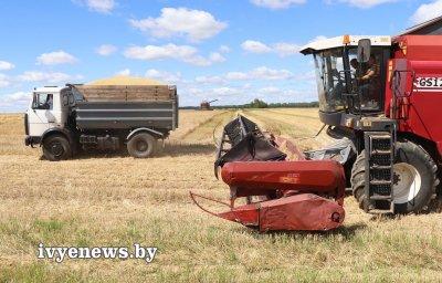 Урожай-2022: рассказываем о лидерах жатвы на 2 августа по данным райкома профсоюза работников АПК