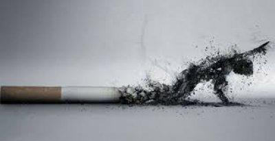 Хочешь жить - бросай курить! 31 мая - Всемирный день без табака