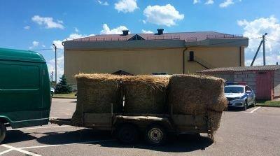 Работник сельхозпредприятия Ивьевского района украл тюки сена прямо с поля