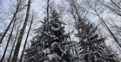 До -15°С и небольшой снег ожидаются в Беларуси 5 декабря