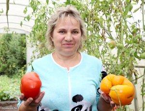 Счастливый 1150-граммовый помидор.  Секретами овощеводства с читателями &quot;IK&quot; делится Лилия Кевра