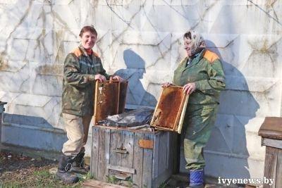 Этот сладкий ивьевский мед. Пчеловоды ООО &quot;Ивьевская сельхозтехника&quot; о том, как получить качественный, вкусный продукт