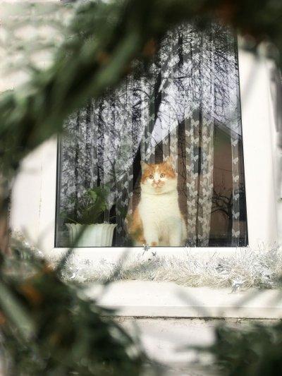 Зимушка-зима в фотовзгляде Гражины Ленцевич