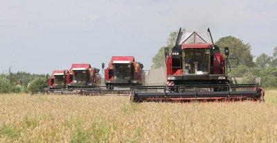 Комбайнеры Гродненского района лидируют в области по намолотам зерна