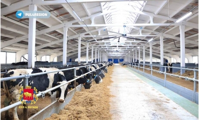 В Гродненской области в первом квартале 2024 года планируют ввести в эксплуатацию 5 молочно-товарных комплексов