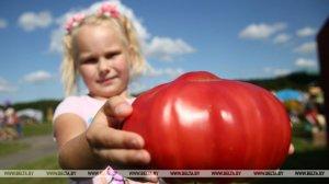 «Синьор Помидор-2022». Приглашаем овощеводов Гродненщины посоревноваться в конкурсе на самый  тяжеловесный томат
