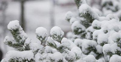 Туман, мокрый снег и гололедица ожидаются в Беларуси