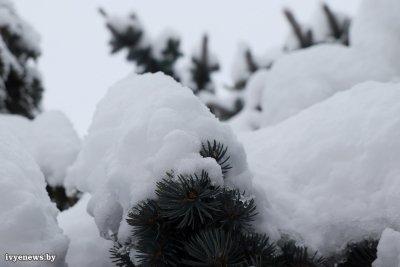 Снежный покров в 32 см. Синоптики рассказали, где на Гродненщине больше всего выпало снега на выходных и чего ждать в ближайшие дни