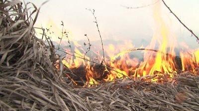 МЧС предупреждает – выжигание сухой растительности запрещено! На территории Ивьевского района в 2021 году уже выявили 3 случая