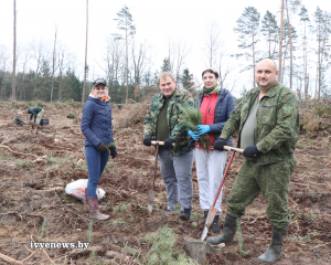 На Ивьевщине стартовала &quot;Неделя леса&quot;. Первыми приступили к посадке молодого леса работники лесхоза