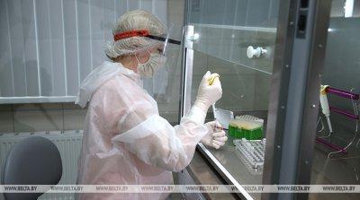Подъем заболеваемости COVID-19 в Беларуси ожидается к концу января-началу февраля