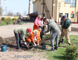 Ивьевчане принимают активное участие в работах по благоустройству и озеленению города