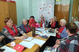 Волонтеры Красного Креста провели встречу по организационному развитию инициативных групп по уходу на дому