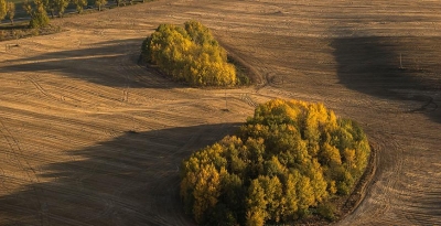 В Минприроды заявили об уменьшении количества загрязненных радиацией земель в Беларуси