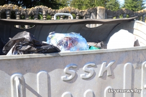 Почему проблема раздельного сбора мусора все еще актуальна? Разбираемся на конкретных примерах
