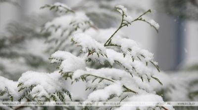 Мокрый снег с дождем и туман ожидаются в Беларуси 18 декабря
