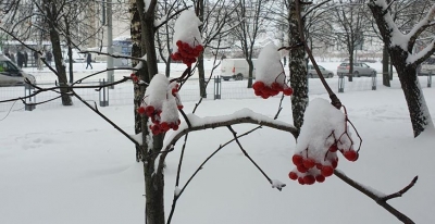 До -13°С и небольшой снег прогнозируют синоптики 7 декабря