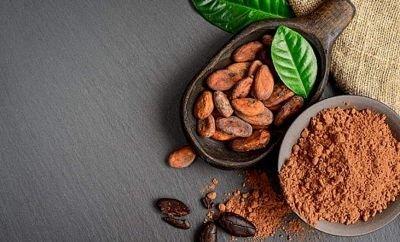 В чем польза какао? Объясняет врач