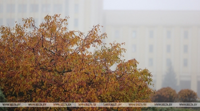 Ночные заморозки и дождь с мокрым снегом ожидаются в Беларуси 14 ноября