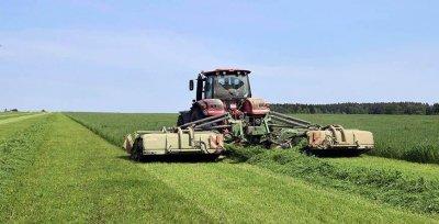 В Беларуси травы убраны с более чем 90% площадей