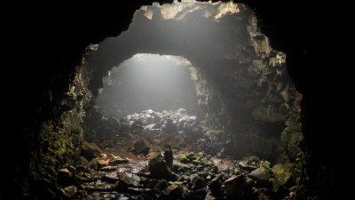 В американской пещере нашли считавшегося вымершим рака