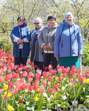 Тюльпановый рай: у цветовода, труженицы и художницы Марии Корзай состоялся цветочный праздник