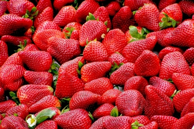 Нельзя пропустить: четыре вида работ во время цветения клубники для крупной и сладкой ягоды