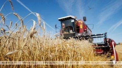 Александр Лукашенко требует не сбавлять темпы уборочной и других сельхозработ