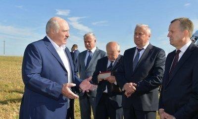 Александр Лукашенко подчеркивает важность культуры земледелия и стратегии в организации уборочной