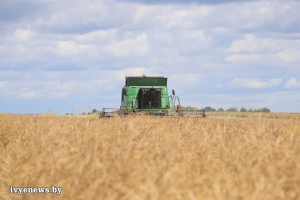 В сельхозпредприятиях района стартовала массовая уборка зерновых