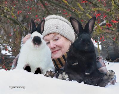 Под знаком будущего чемпиона. Новогодний репортаж “IK” о пушисто-ушастом хозяйстве известного в Беларуси кроликовода