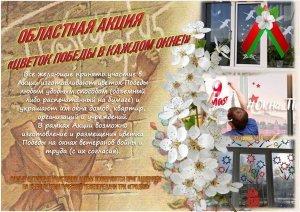 На Ивьевщине со 2 по 13 мая  пройдет областная акция “Цветок Победы в каждом окне!”. Что надо знать, чтобы стать ее участником