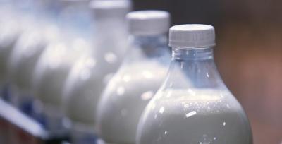 В Беларуси за 2022 год произведено 7,6 млн тонн молока