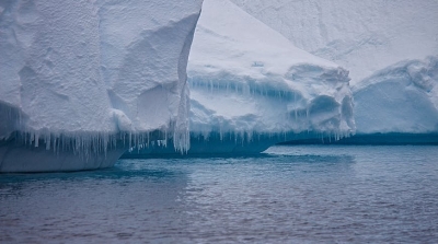 Крупнейший в мире айсберг может прекратить свое существование в ближайшее время