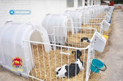 Александр Лукашенко посетил молочно-товарную ферму «Подбагонники» РСУП &quot;Олекшицы&quot;