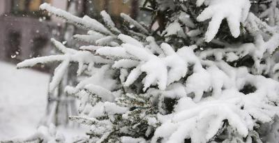 Мокрый снег и до +7°С ожидается в Беларуси 30 декабря