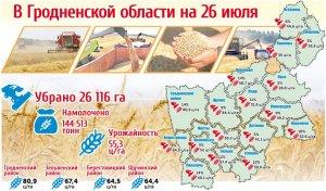 Карта урожайности в Гродненской области на 26 июля (инфографика)