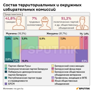 Состав территориальных и окружных избирательных комиссий (инфографика)